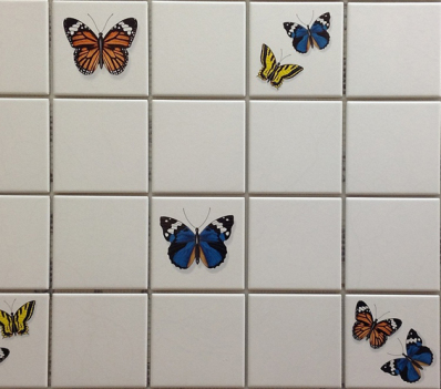 BUTTERFLY