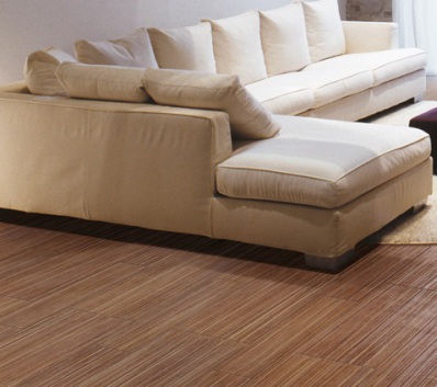 ZEBRANO PROJECT