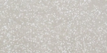   Terrazzo Pearl 40x80