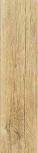 0800721 Xilema Castagno 20x80