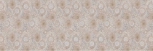 ROMANZA DAPHNE 20x60