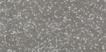Terrazzo Grey Lapp 30x60 
