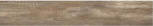 Soft Beige 20120