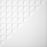 Blanco T1D 20x20