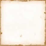 WHITE 12.5X12.5