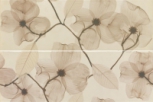 Home D 60x40