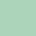 Mint  11,5x11,5