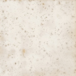 Nakama Ivory (24  ) 12,5x12,5