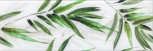Ceramika Konskie Snow Glossy Glass Tropic A 25x75 ( )  