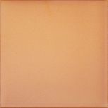 Canada Gres Natura 016 Terra 244x244  R11  