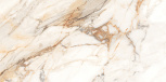 Calacatta borgini   60x120