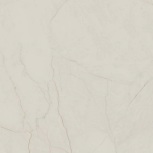 K947792R0001VTET SILKMARBLE    R9  60X60