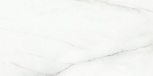 Voyage blanco 60119,5    59,50x119,10