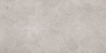 Charon gray 60x120 c  