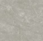 Wolf grey 80x80  