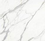 Carrara prestige 80x80   
