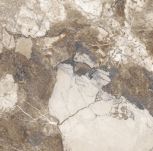 Persian brown 60x60   