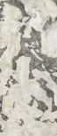 120x278    600180000050
