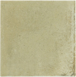 Sage 10x10