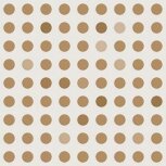 Zepto Quecto Siena 13×13