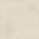 Root Artis Pearl 13×13