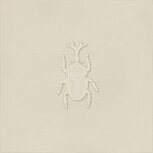 Root Ager-4 Pearl 13×13