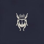 Root Ager-4 Blue 13×13