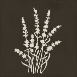 Root Arvum-4 Brown 13×13