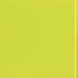 Flexi 1 Green Bri 30*30