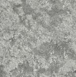 60x60 Forte Dei Marmi Quark Persian Grey   