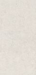 60X120 FORUM STONE POLAR