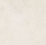 80x80 FORUM WAVE POLAR