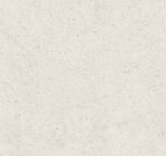 80x80 FORUM STONE POLAR