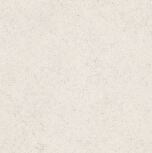 120x120 FORUM STONE POLAR