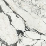 120X120 R CALACATTA ALTISSIMO BLANC GLOSSY 6MM