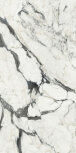 120X280 R CALACATTA ALTISSIMO BLANC GLOSSY 6MM