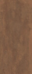 120X278 Status Corten