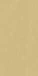 80X160 Sur.Gold Yellow Ret