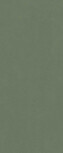 50x120 Surface Forest Green Ret