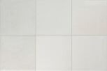10x10 Hikari Almond