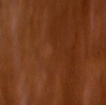 11,6X11,6 SENSI COLORE MARRONE GLOSSY