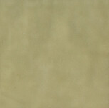 11,6X11,6 SENSI COLORE SALVIA GLOSSY