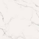 0000389 STATUARIO ULTRA lux ret. 120x120