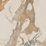0004306 Ivory Ret 60X60