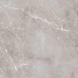0004309 Grey Ret 60X60
