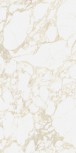 Gold Raw 60x120