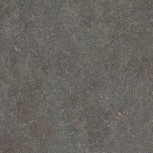 0004041 NATIVE FOREST LAP RET 120x120
