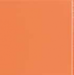 Flexi 1 Orange Mat 30*30