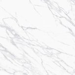 Lazzaro Pearl F P 59,559,5 R Full Lappato 1