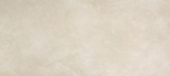   Roma Pietra 50*110 RT